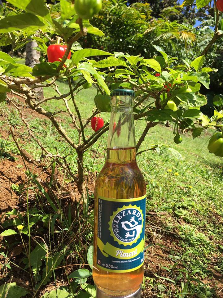 Bière-Piment-les-bieres-de-la-lezarde